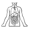 Your life story is imprinted in your cells