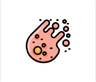 Oocyte Biology
