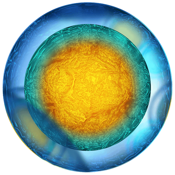 Mitochondria